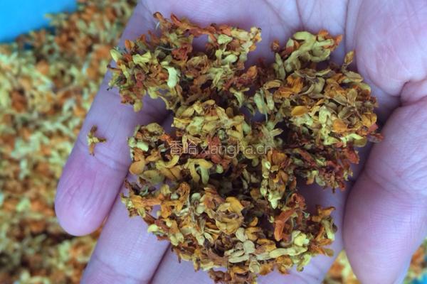 自制桂花干桂花茶的做法图解5