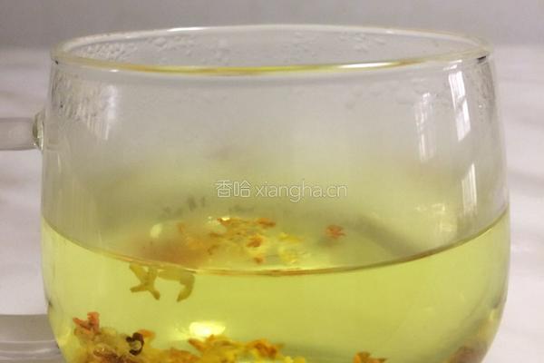自制桂花干桂花茶的做法图解7