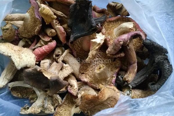 农家野生菌炖鸡的做法图解1