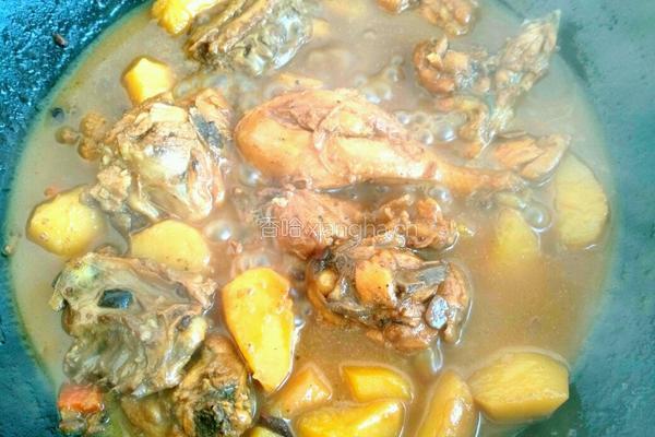 豆豉炖土豆鸡块的做法图解10