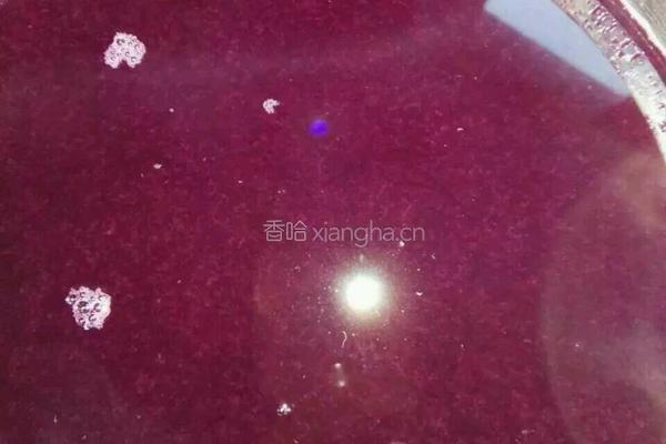 自制葡萄汁的做法图解4