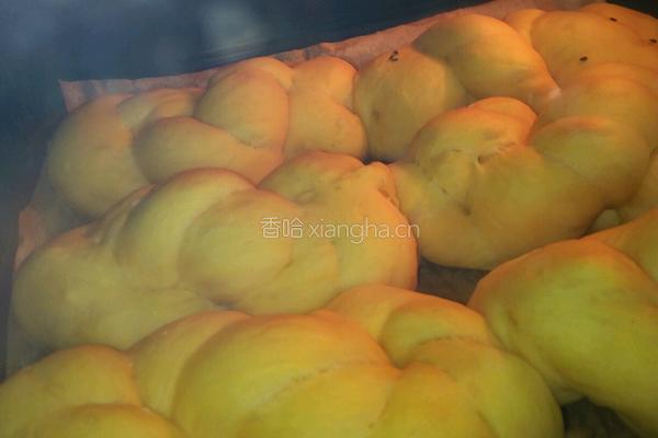 南瓜老面包的做法图解11