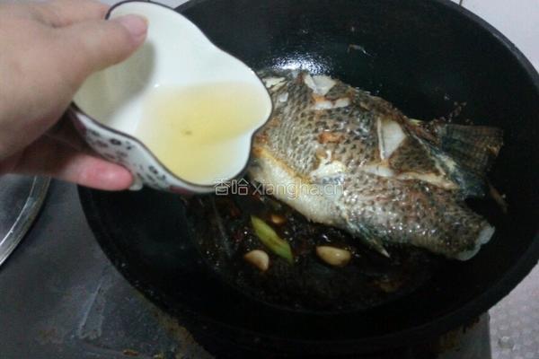 红烧罗非鱼的做法图解14