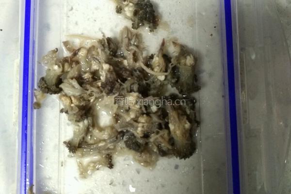 水发海参的做法图解3