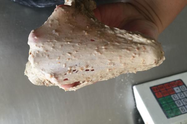 全麦蔓越莓吐司的做法图解4