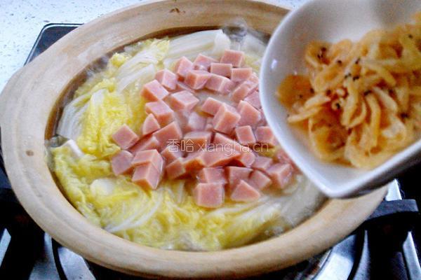 白菜豆腐煲的做法图解11