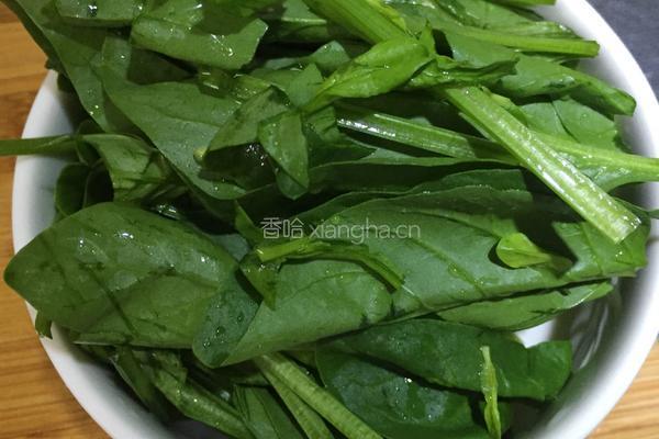 菠菜猪肝片粥的做法图解4