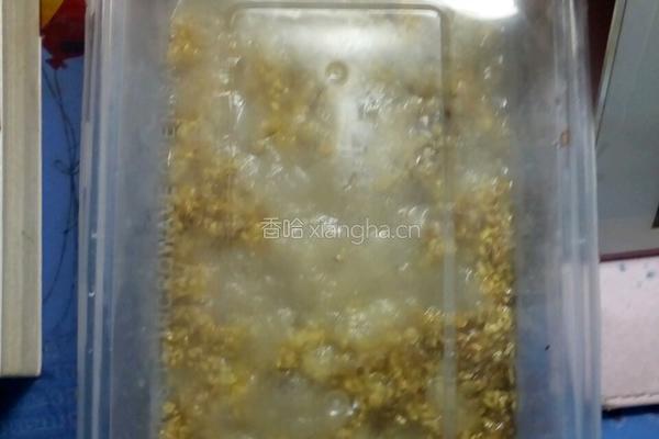 桂花蜜的做法图解2