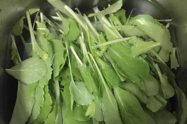 口蘑小白菜汆丸子的做法图解4