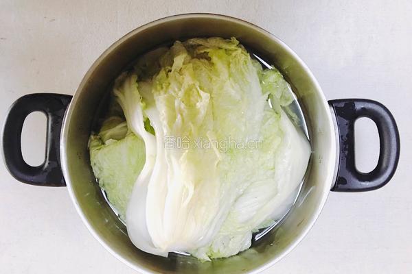辣白菜 泡菜的做法图解2