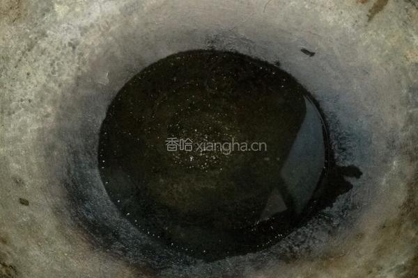 醋溜白菜帮的做法图解4