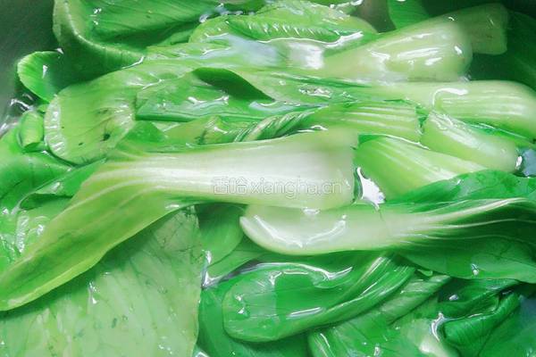 肉片炒青菜的做法图解5