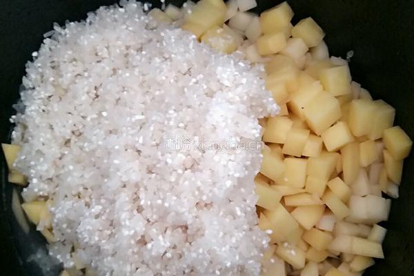 土豆焖米饭的做法图解5