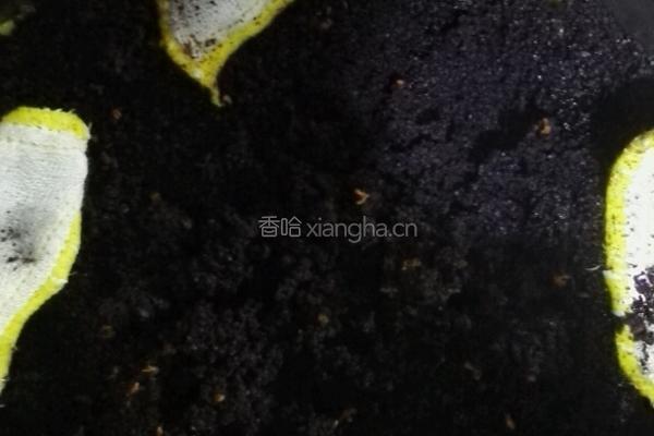 紫米绿豆糕的做法图解5