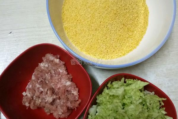 猪肉白菜小米粥的做法图解1