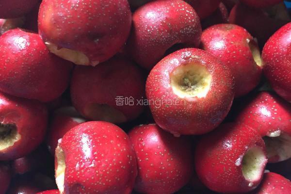 自制山楂条的做法图解2