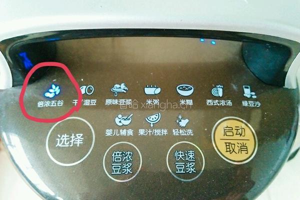 核桃红枣豆浆的做法图解7