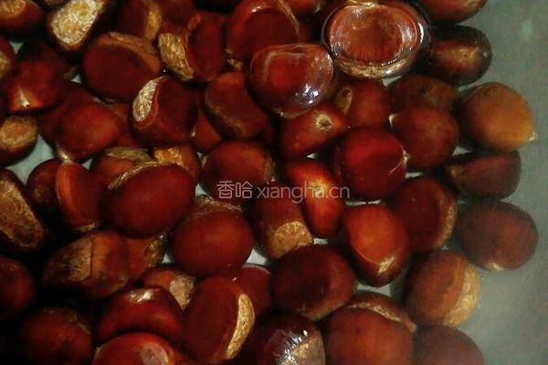 水煮板栗的做法图解4
