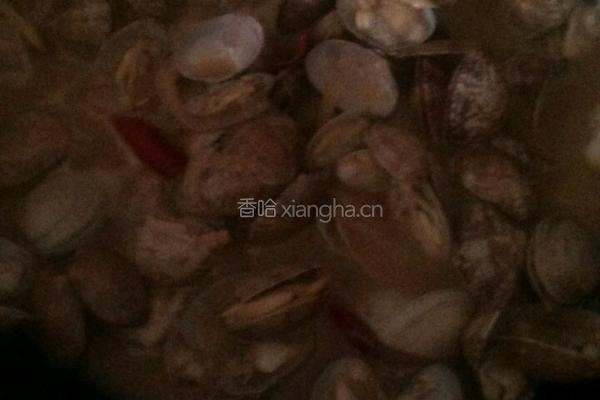 懒人爆香花蛤的做法图解11
