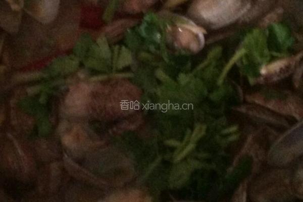 懒人爆香花蛤的做法图解12