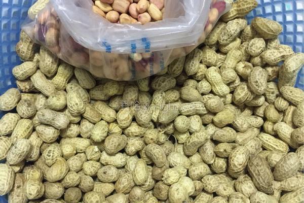 花生牛扎糖的做法图解1