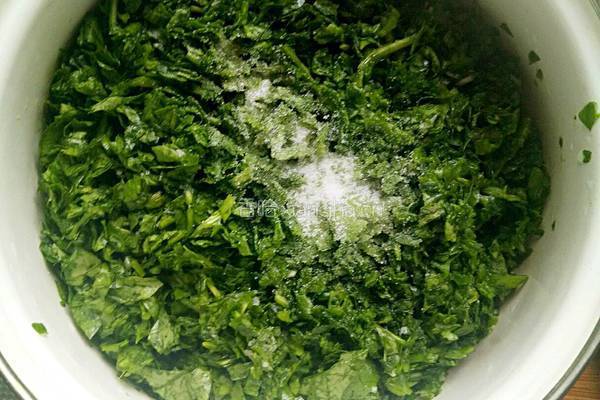 地菜青汁汤水饺的做法图解4