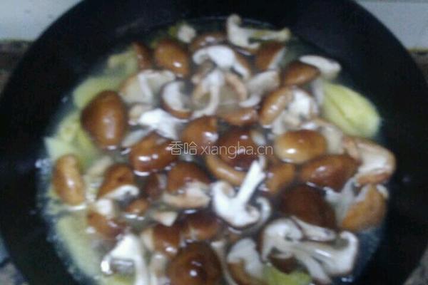 蘑菇炖土豆的做法图解7