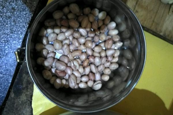 电饭煲猪脚焖花生的做法图解3