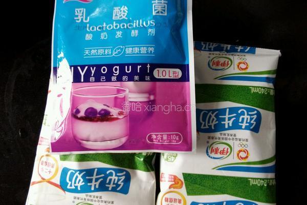 自制酸奶的做法图解2