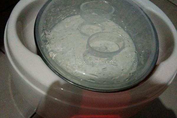 自制酸奶的做法图解8