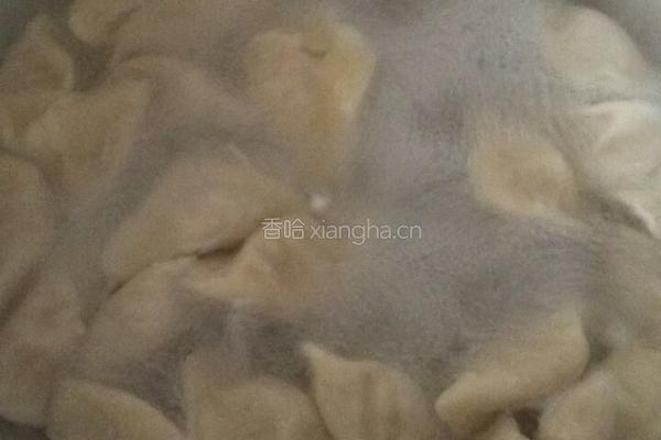 大虾猪肉水饺的做法图解38