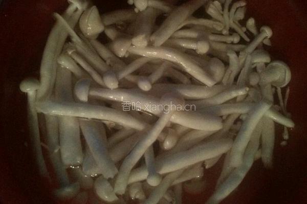 红烧海鲜菇鸡腿肉的做法图解13