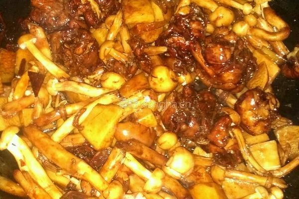 红烧海鲜菇鸡腿肉的做法图解16