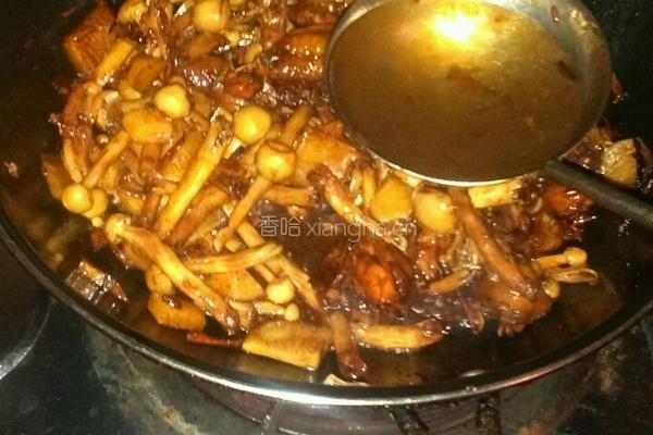 红烧海鲜菇鸡腿肉的做法图解17