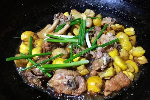 板栗焖鸡肉的做法图解14