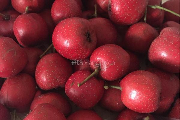 山楂糕的做法图解1