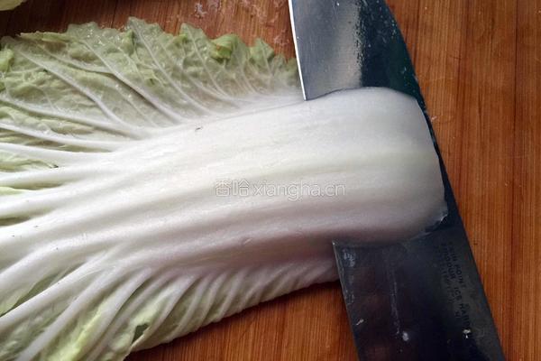 白菜拌粉丝的做法图解3