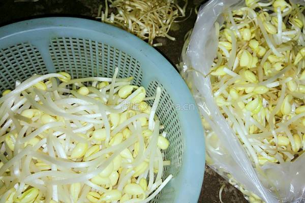 黄豆芽炒牛肚的做法图解5