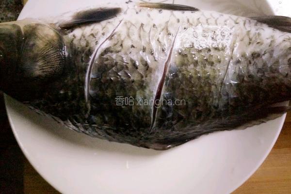 张氏红烧鱼的做法图解1