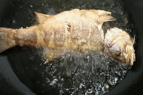 红烧鲈鱼的做法图解3