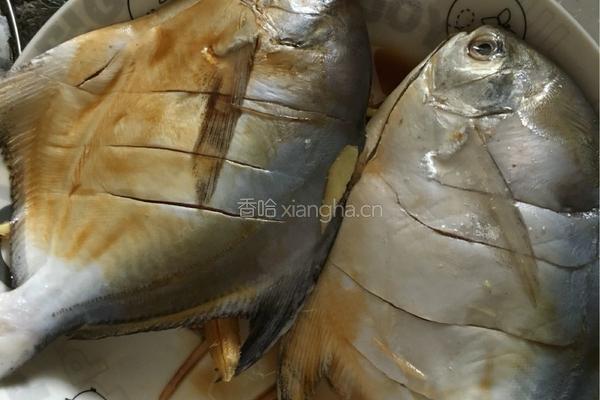 清蒸白鲳的做法图解2