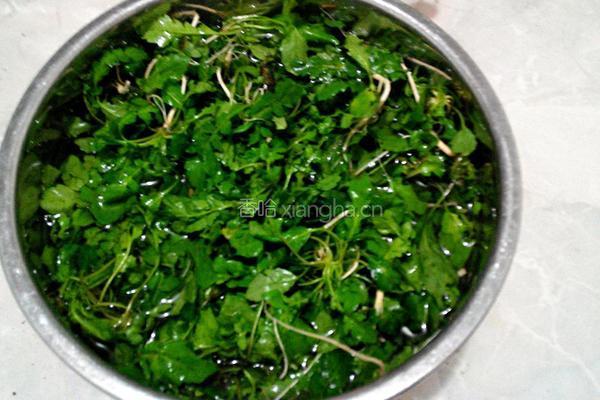 荠菜馅饺子的做法图解3