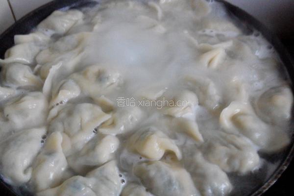荠菜馅饺子的做法图解12