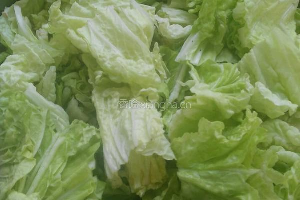 羊肉白菜的做法图解2