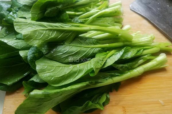 清炒菜心的做法图解4