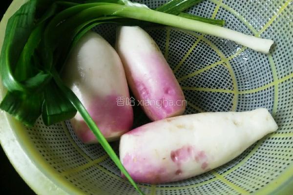 鸭肉焖萝卜的做法图解1