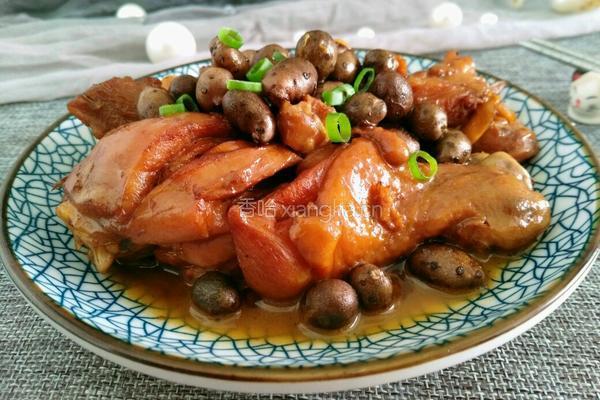 山药豆炖鸡肉的做法图解15
