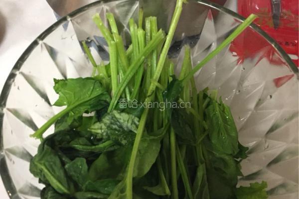 手工油泼面的做法图解2