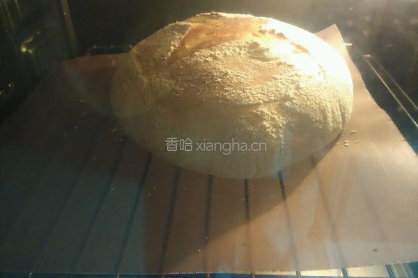 免揉面包的做法图解14