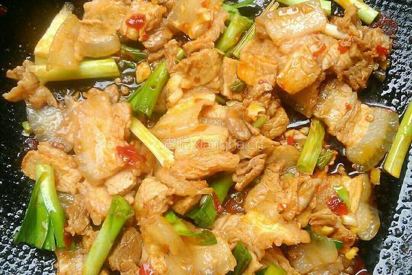 蒜苗回锅肉的做法图解11